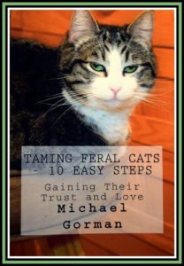 Taming Feral Cats